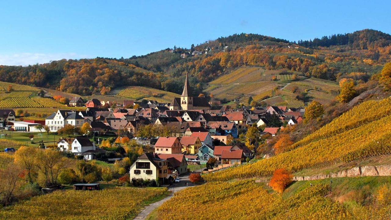 Hotel De L'Ange Niedermorschwihr 외부 사진